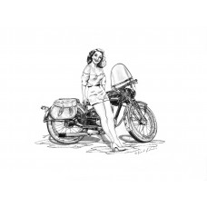 The Vintage Harley Girls Series