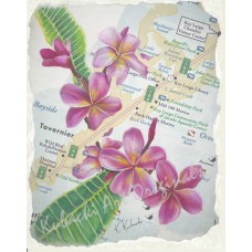 13 Mile Frangipani